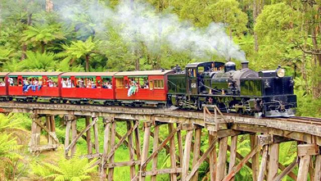 墨爾本普芬比利蒸汽小火車+企鵝島一日遊【中文司導/天天出發】