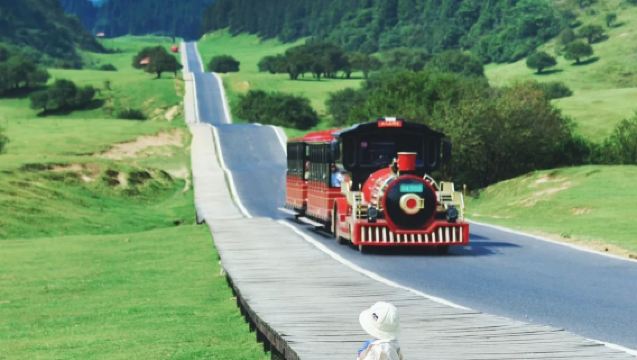 ทัวร์ส่วนตัวฉงชิ่งวันเดียว (ไกด์และรถ): สะพานหินธรรมชาติและอุทยานภูเขานางฟ้า