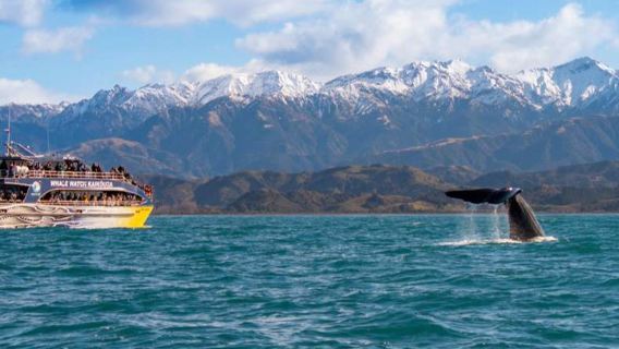 Christchurch, New Zealand: professional translation | local guide | tour guide | self-guided tour services | itinerary customization