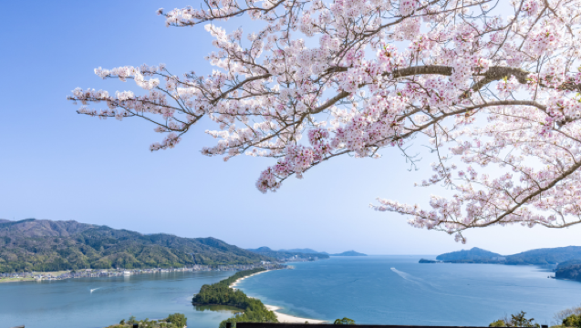 Explore the Hidden Gems of Kyoto's Mountains and Sea | 1-Day Tour to Amanohashidate, One of Japan's Three Scenic Views, and Ine Boat House Cruise