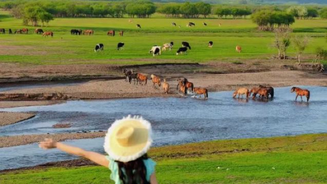 呼倫貝爾大草原+莫爾格勒河+騎馬+餵小羊+擠牛奶一日遊