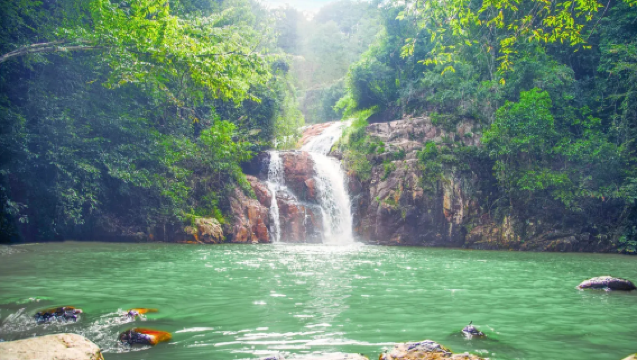 越南大叻定制遊｜達塔拉瀑布+瘋屋子+情人谷+大叻夜市※
