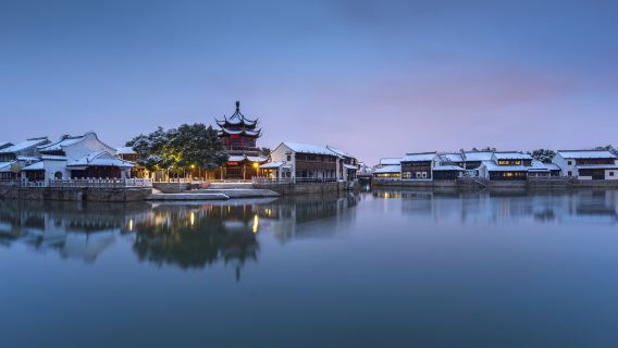 Suzhou Private Half-Day Tour (Hanshan Temple, Humble Administrator's Garden): Private Charter Service + Tickets