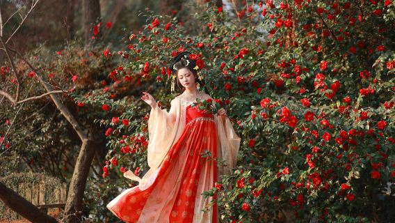 Shucheng trip moments[Photography follow-up shooting services including aerial photography, photos, short videos, portraits, wedding photos, family-friendly, individual and couple photos with all raw images provided / translation]