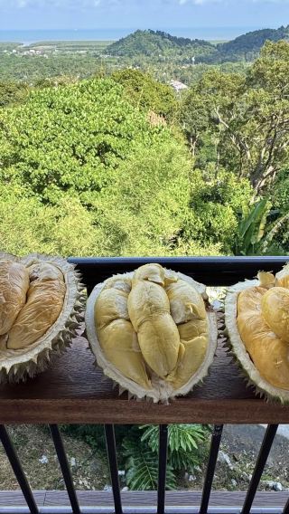 1-day tour to Batu Caves, Bentong durian farm, Colmar Tropicale, Berjaya Hills and Japanese Village in Kuala Lumpur