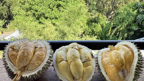 1-day tour to Batu Caves, Bentong durian farm, Colmar Tropicale, Berjaya Hills and Japanese Village in Kuala Lumpur