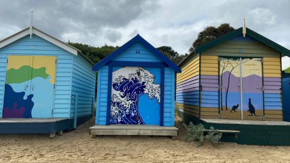 Melbourne: Moonlit Sanctuary and Brighton Beach Boxes Tour