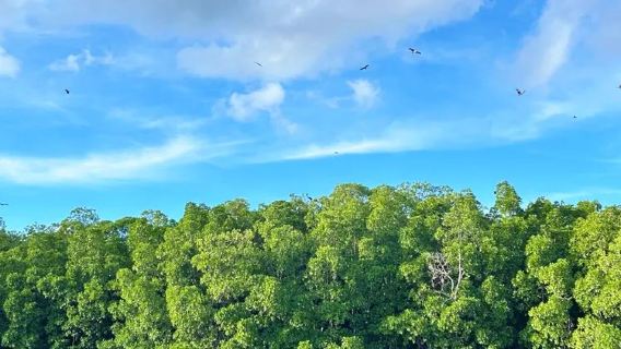 Semporna ATV mangrove eco-tour (mountain off-road + rainforest mystery + firefly exploration)