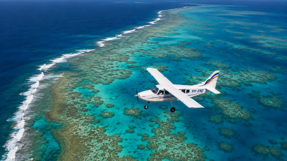 Cairns small plane sightseeing Great Barrier Reef Daintree Air Service