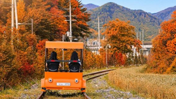 Tagesausflug zum Alpaka-Park und Railbike in Gangchon (Abfahrt von Seoul, garantierte Privattour für 1 Person)