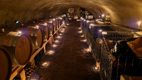 Szentendre: Wine Tasting in a 100-Year-Old Cellar