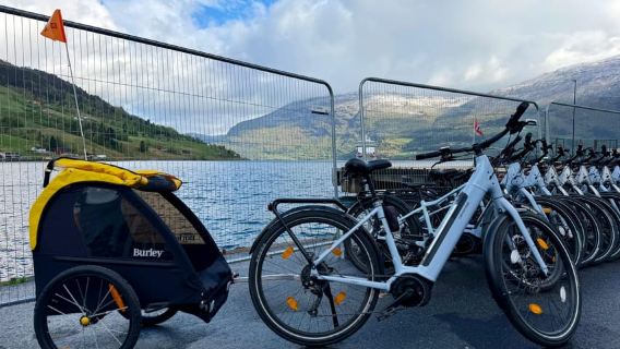 Olden: Self-Guided E-Bike Rental Experience