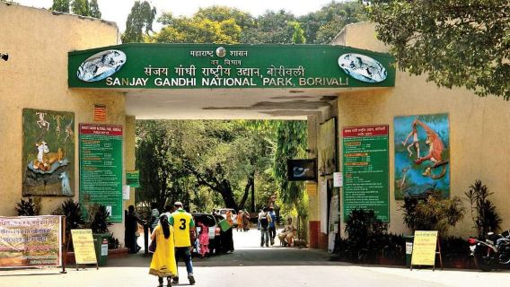 Mumbai: Buddhist Kanheri Caves & optional Pagoda Temple trip