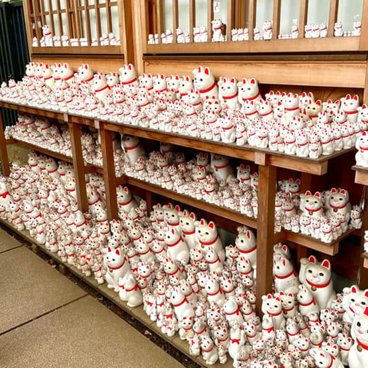 Tokyo Gotokuji Cat Temple, Shinjuku Cat Cafe & Giant 3D Cat | Trip.com