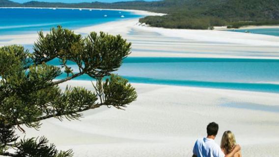 Whitsunday Islands Whitehaven Beach Hill Inlet cruise CWS [1-day tour/half-day tour]