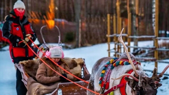 Rovaniemi, Finland | 2 km reindeer sleigh ride with hot pancakes by the log cabin stove