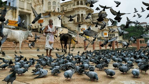 JaipurTravel Services