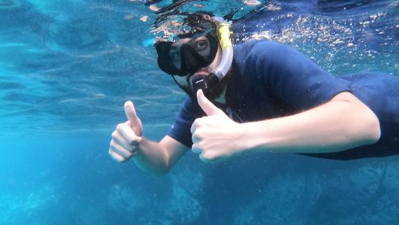 Los Cristianos: snorkeling su una barriera corallina lavica