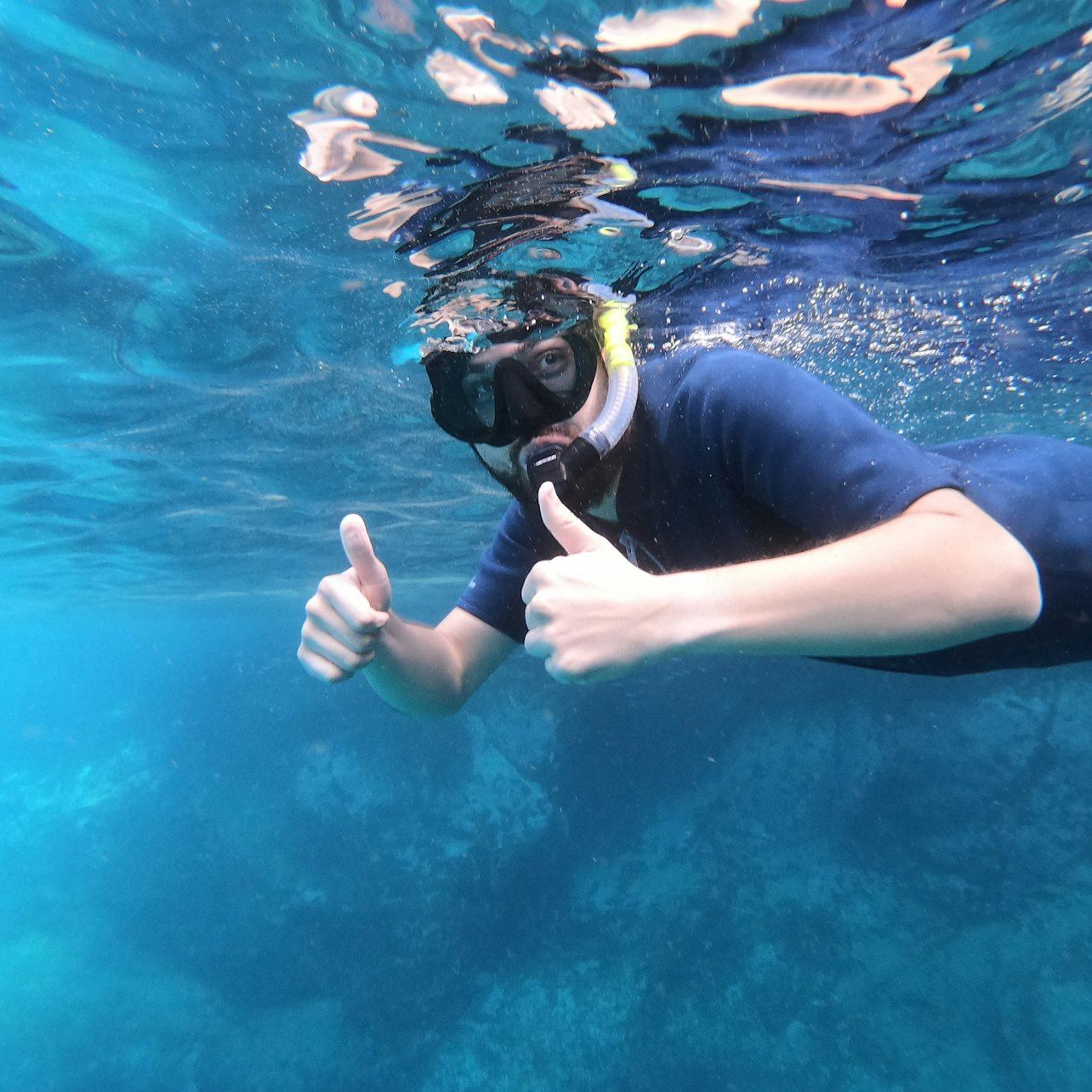 Los Cristianos: Snorkeling on a Lava Reef