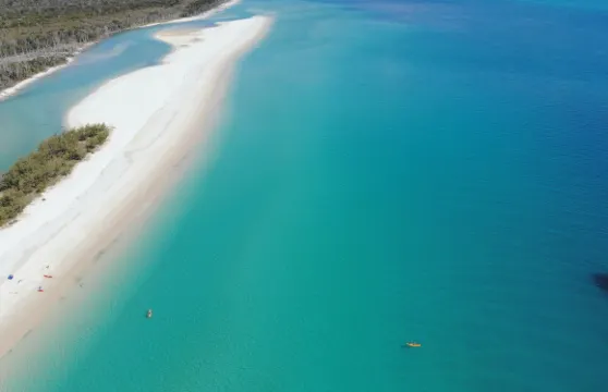弗雷澤島海灘及燒烤郵輪之旅家庭