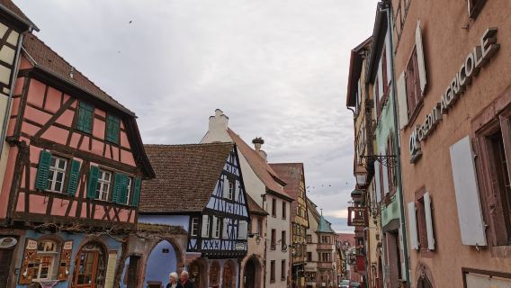 Safari-Tour Iconics; visit of typical villages and the Haut Koenigsbourg castle+wine tasting