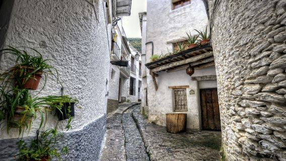 GranadaTours