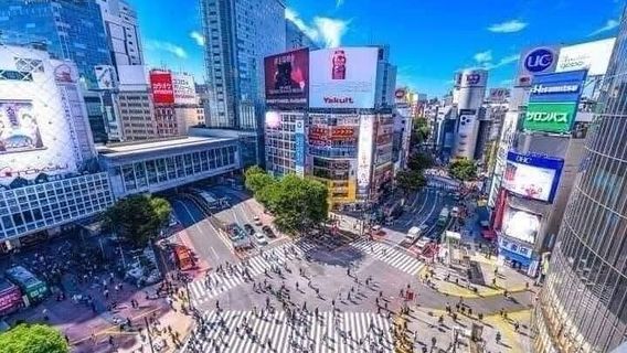 TokyoTours