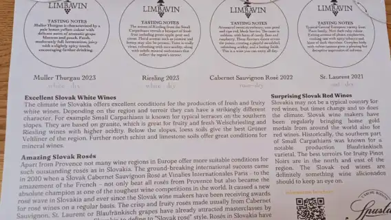 Small Carpathian Route Wines Tasting Tour in Bratislava City Center