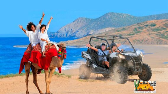Cabo San LucasTours