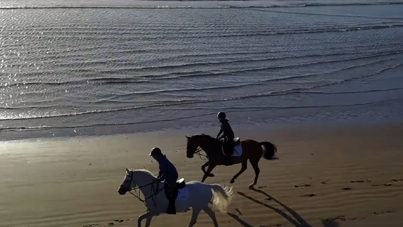 Balade en mer Rouge en Égypte - Cheval, chameau, plage, désert et coucher de soleil