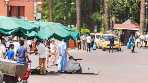 Highlights & Hidden Gems of Marrakech