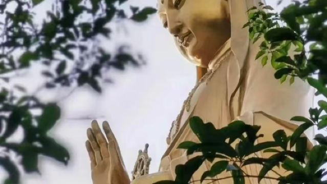 普陀山風景區+33公尺南海觀音+普濟禪寺+普陀山西天景區純玩一日遊