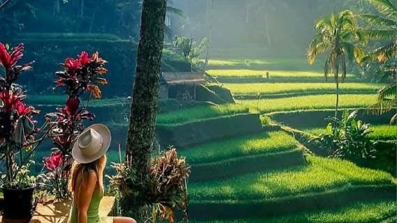 Tour khám phá Ubud nổi bật: Rừng Khỉ, Thác Nước, Đền & Ruộng Bậc Thang.