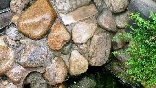 【趵突泉親子遊10人小拼團(文史大咖60分鐘精講)】