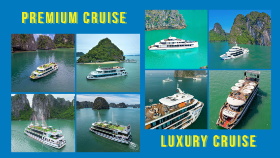 Depuis Hanoi : croisière 5 étoiles en option, grotte Surprise, île Titop, kayak + déjeuner