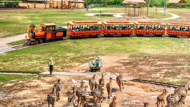 清遠長隆長頸鹿城堡1晚/2晚套票 長隆森林王國門票暢玩可選森林溫泉樂園可選酒店美食親子體驗套餐