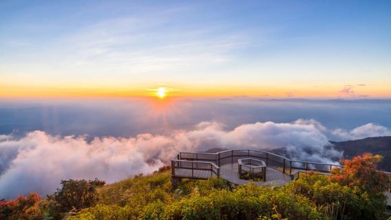 เชียงใหม่: ทริปเที่ยวดอยอินทนนท์แบบไปเช้าเย็นกลับ พร้อมเดินป่ากิ่วแม่ปาน