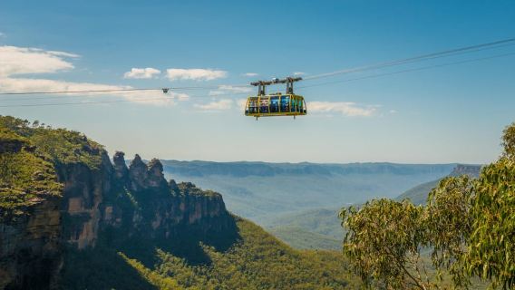 Blue Mountains Adventure: Scenic World, Zoo & Koala Photo