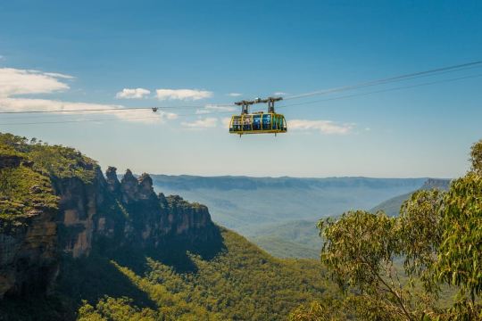 Blue Mountains Adventure: Scenic World, Zoo & Koala Photo