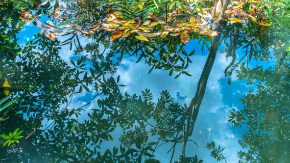 Ao Nang: Crystal Pool Kayaking, ATV, and Pineapple Farm Tour