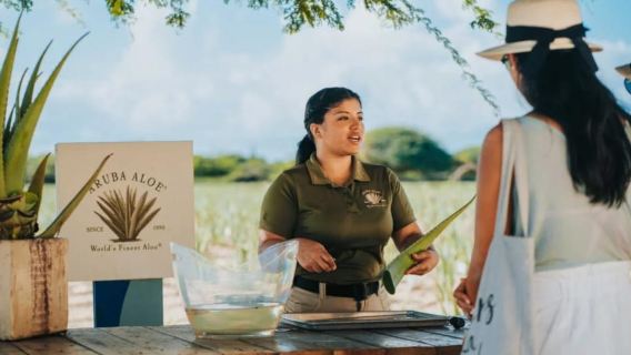 Oranjestad: Passeio de Dia Inteiro pela História e Pontos Turísticos de Aruba