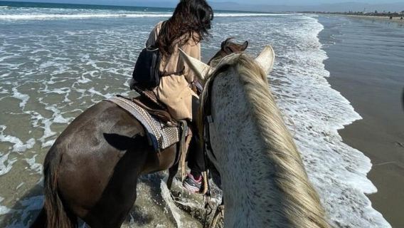 Ensenada: La Bufadora & Beach Horseback Riding Adventure