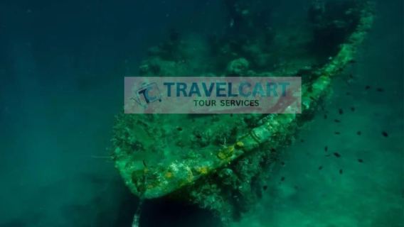 Coron Reef & Wrecks Tour