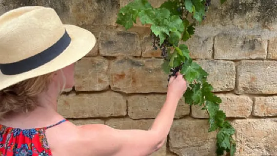 Bordeaux: Weingeschichtstour mit Verkostung