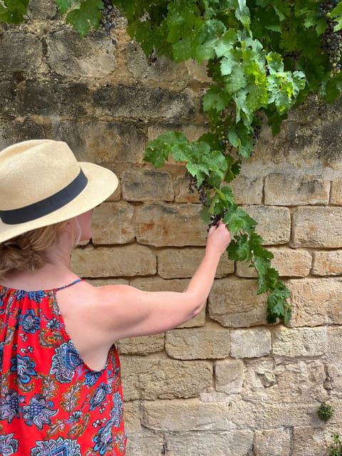Bordeaux: Wine History Tour with Tasting