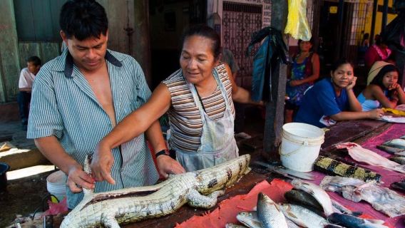イキトス発見：シティツアーとベレン市場