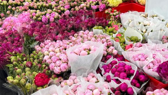 中国広州 中国語—フランス語翻訳 購買アシスタント|ショッピングガイド 及び ビジネスガイドサービス【プライベートプランカスタマイズ可】