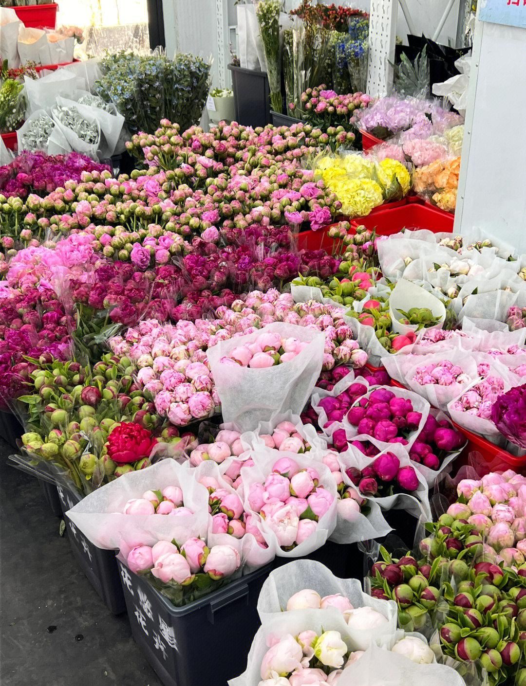 中国広州 中国語—フランス語翻訳 購買アシスタント|ショッピングガイド 及び ビジネスガイドサービス【プライベートプランカスタマイズ可】