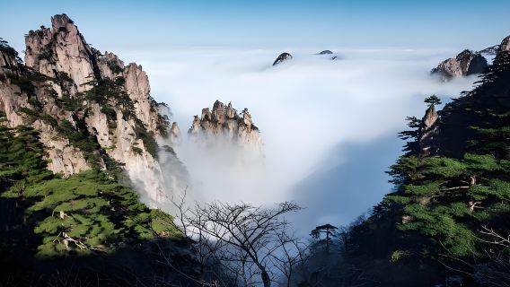 Tour tham quan Hoàng Sơn một ngày bằng tiếng Anh: Ngắm nhìn những bức tranh phong cảnh tuyệt đẹp