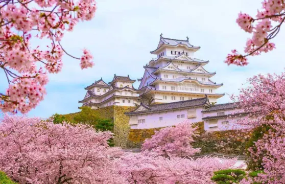 賞櫻季節小團 神戶姬路城+六甲山+有馬溫泉街一日遊